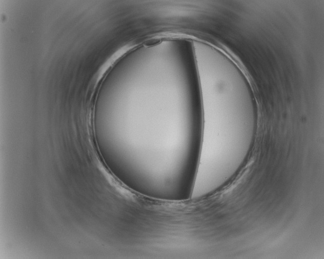 X0000065970909200603061146