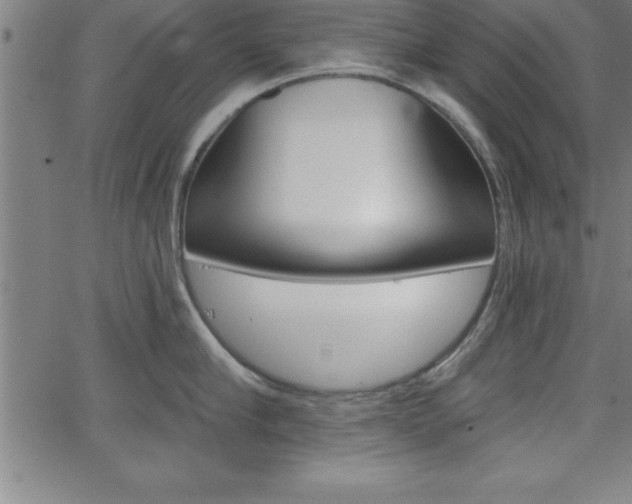 X0000065970910200603061146