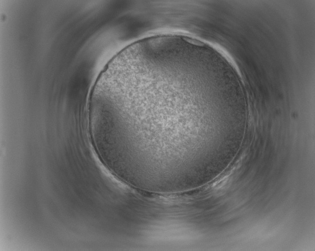 X0000065970911200603061146