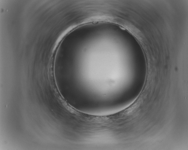 X0000065970912200603061146