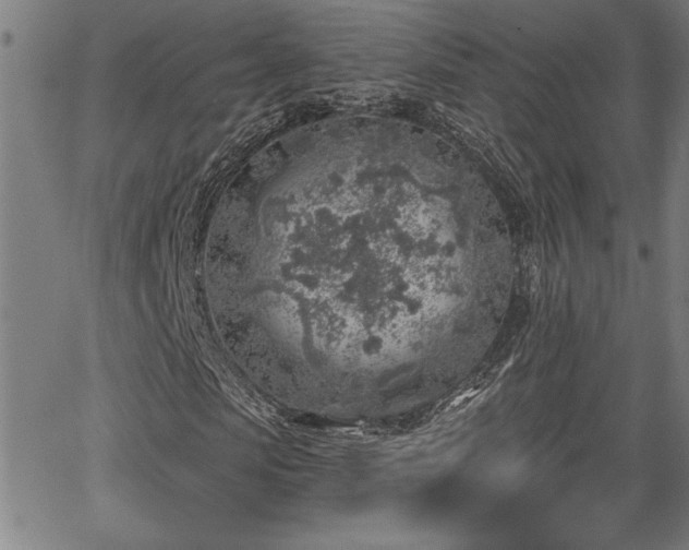 X0000065970913200603061145