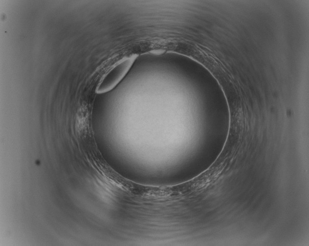 X0000065970914200603061145