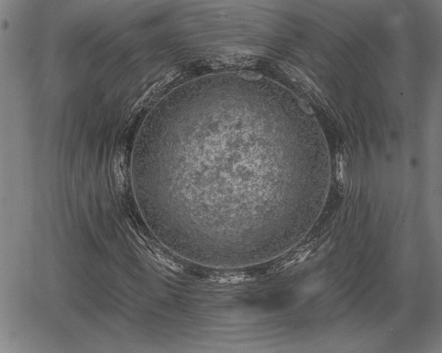 X0000065970915200603061145