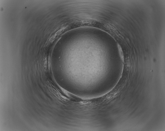 X0000065970916200603061145