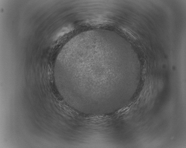 X0000065970917200603061145