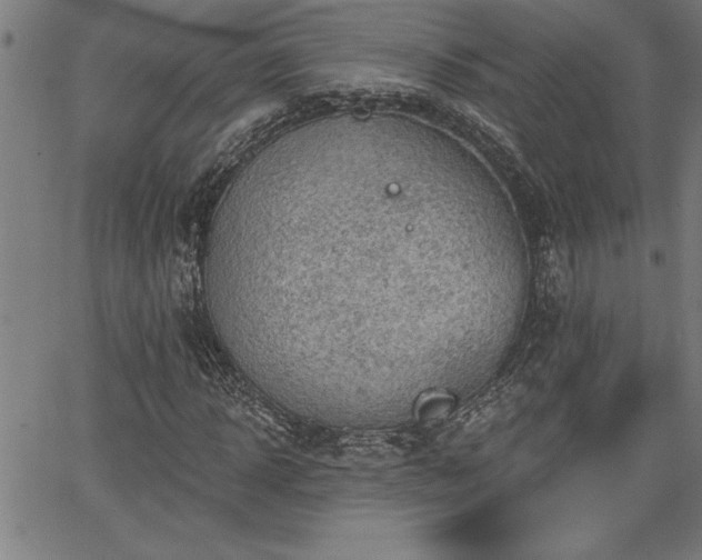 X0000065970918200603061145