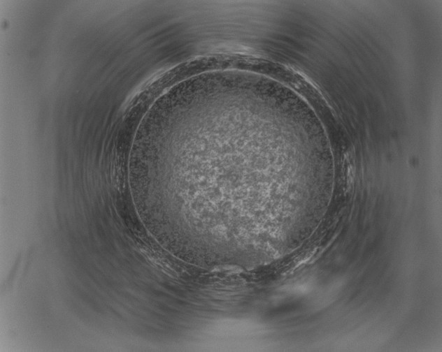 X0000065970919200603061145