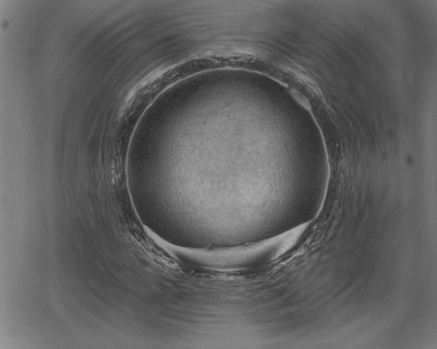 X0000065970920200603061145