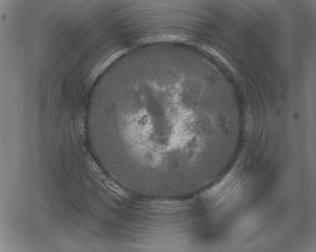 X0000065970921200603061145