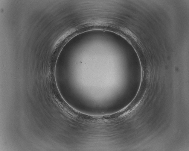 X0000065970922200603061145