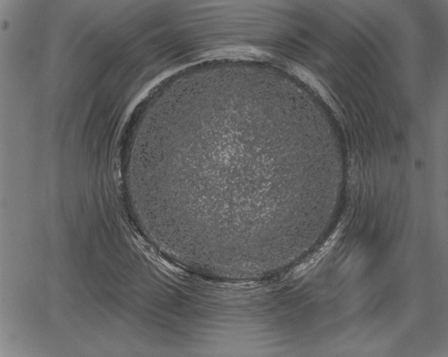 X0000065970923200603061145