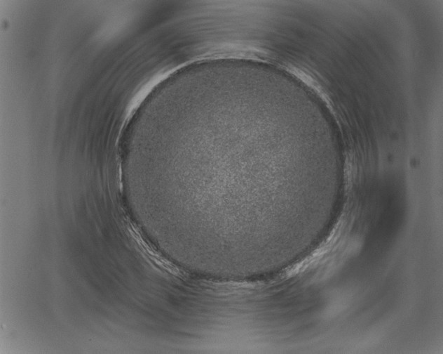 X0000065970925200603061145