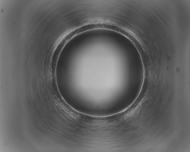 X0000065970927200603061146