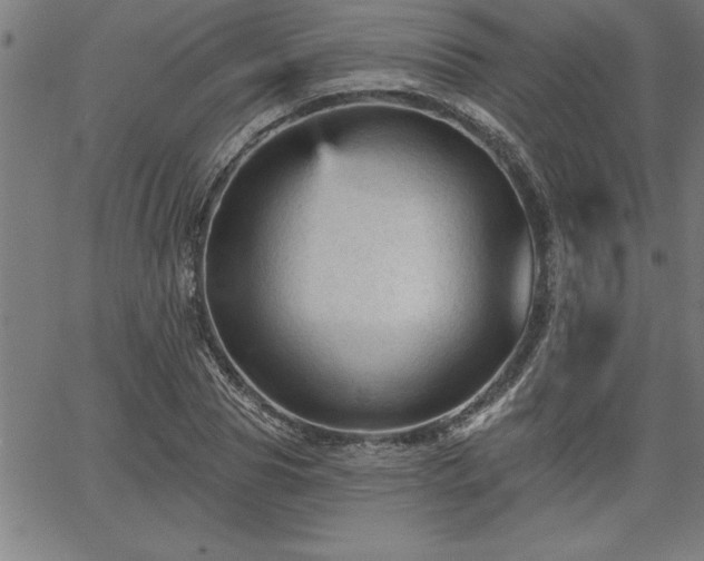 X0000065970929200603061146