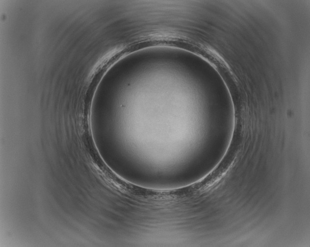 X0000065970930200603061146