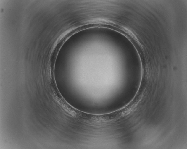 X0000065970931200603061146