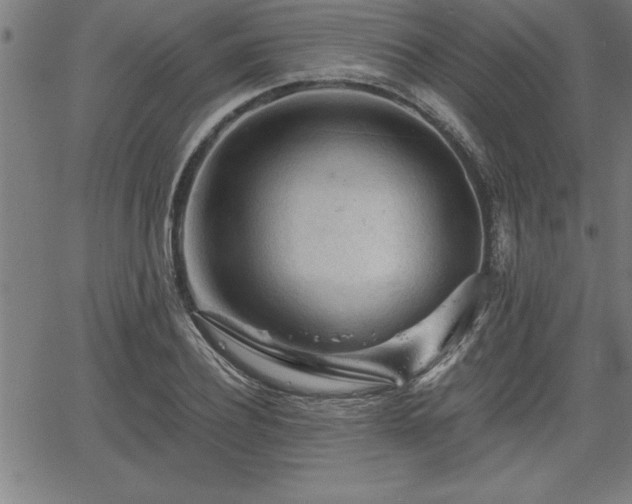 X0000065970932200603061146