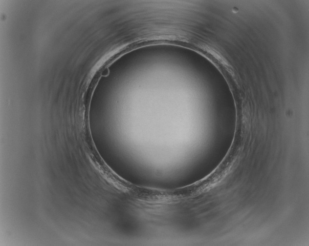 X0000065970933200603061146