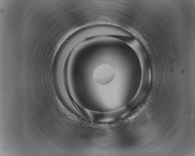 X0000065970934200603061146