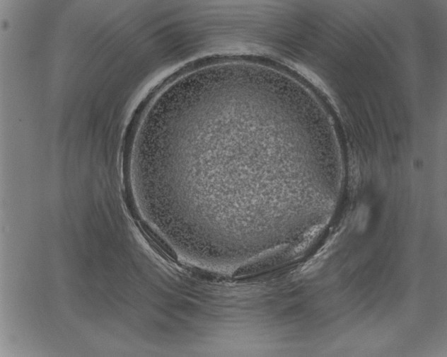 X0000065970935200603061146