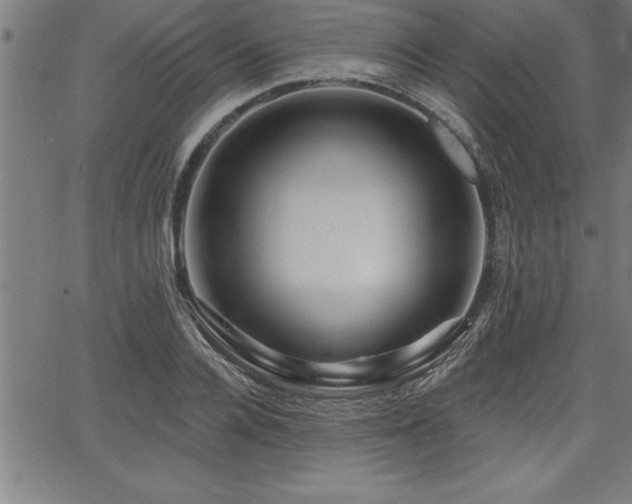 X0000065970936200603061146