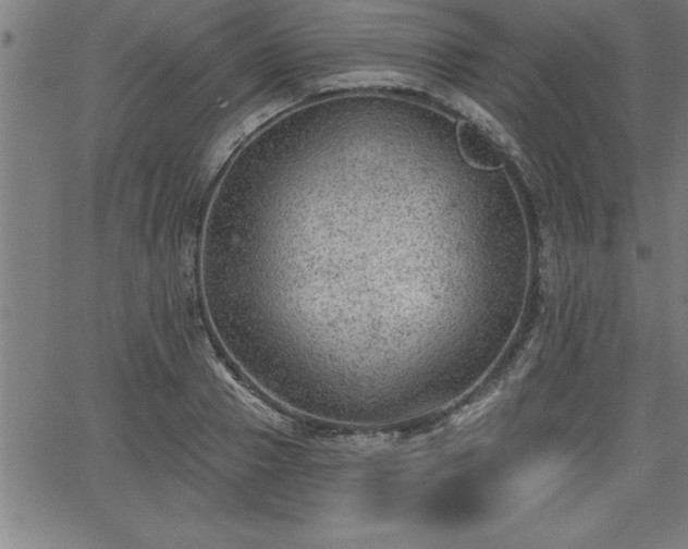 X0000065970937200603061146