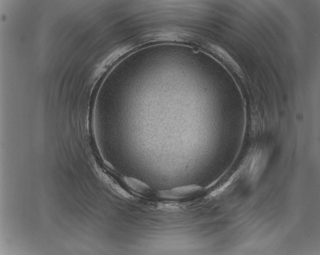 X0000065970938200603061146