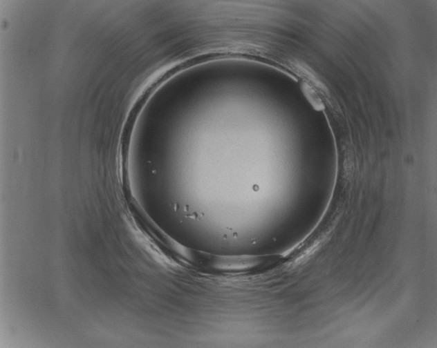 X0000065970940200603061146