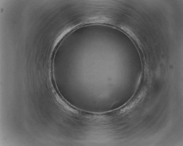 X0000065970941200603061146