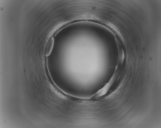 X0000065970942200603061146