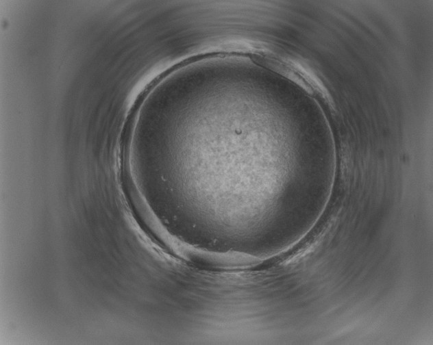 X0000065970944200603061146