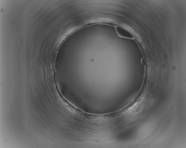 X0000065970945200603061146