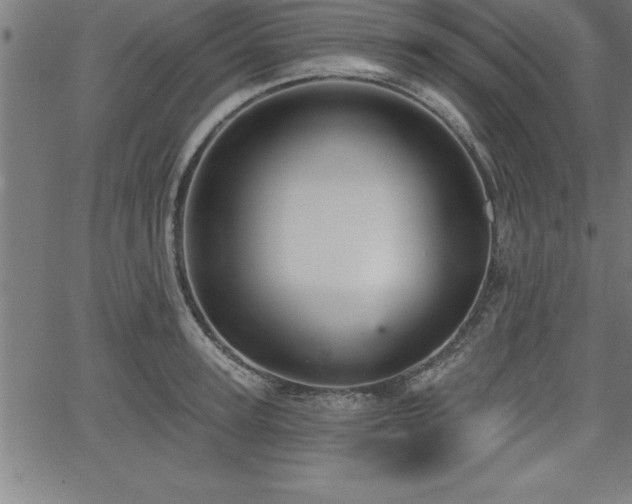 X0000065970947200603061146