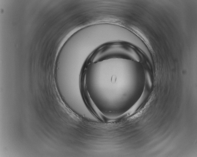 X0000065970948200603061146