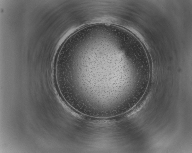 X0000065970949200603061146