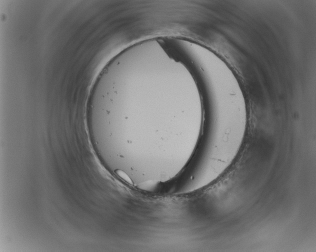 X0000065970950200603061146