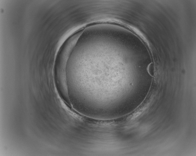 X0000065970951200603061146