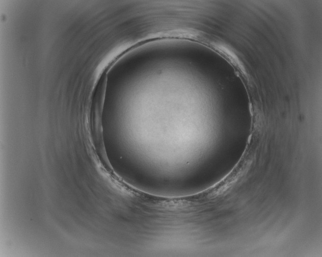 X0000065970952200603061146