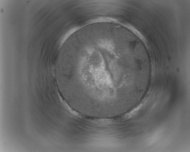 X0000065970953200603061146