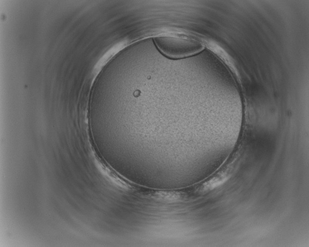 X0000065970954200603061146