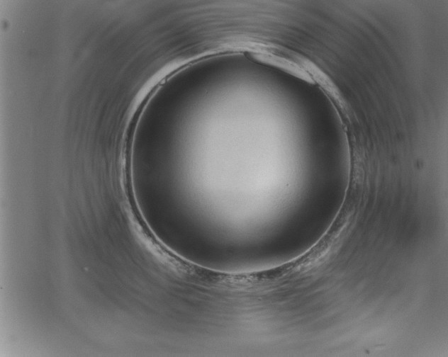 X0000065970955200603061146