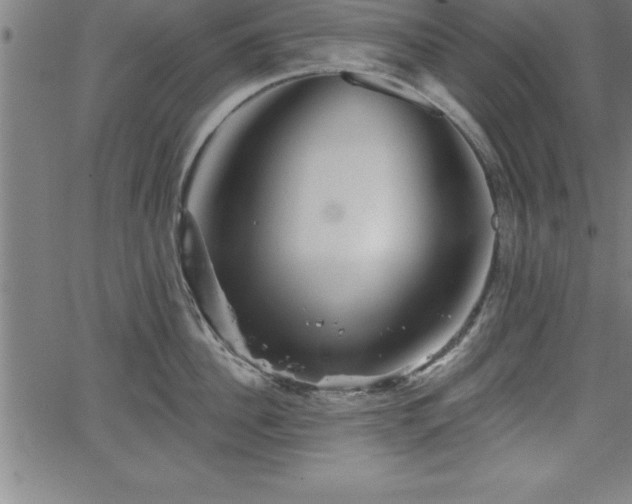 X0000065970956200603061146