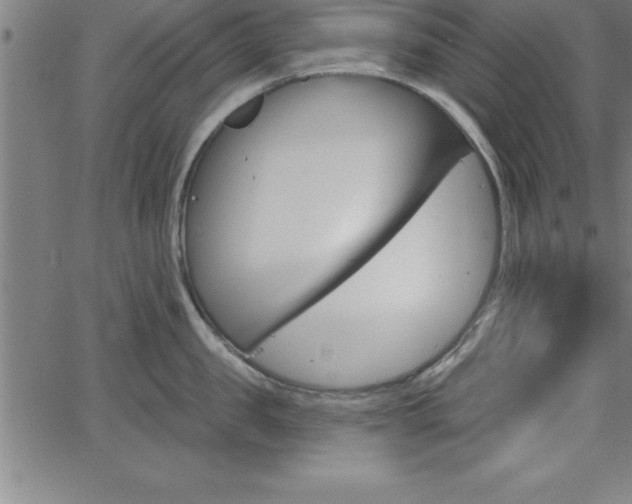 X0000065970957200603061146