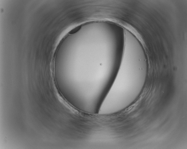 X0000065970958200603061146