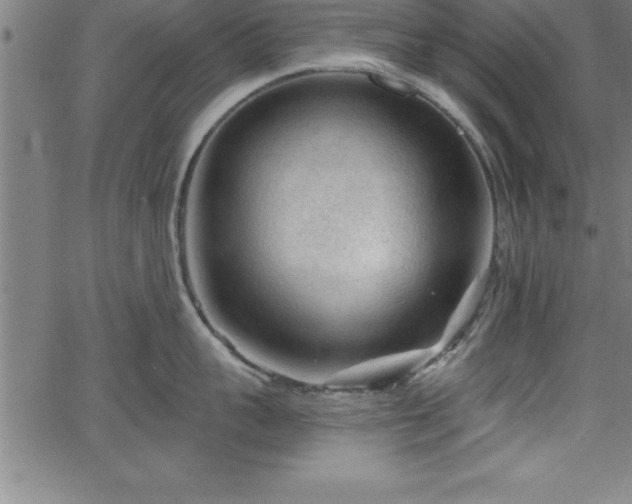 X0000065970959200603061146