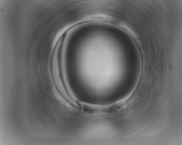 X0000065970960200603061146