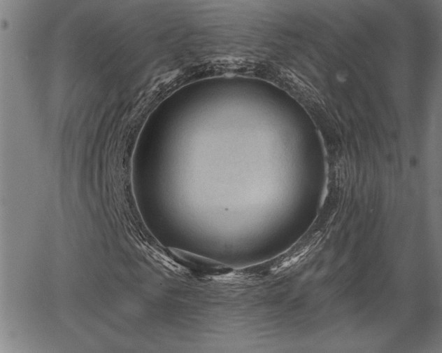 X0000065970961200603061145