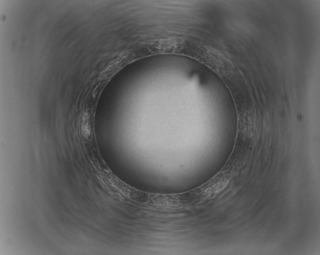 X0000065970962200603061145