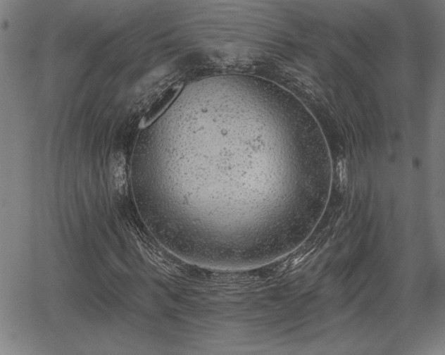 X0000065970963200603061145