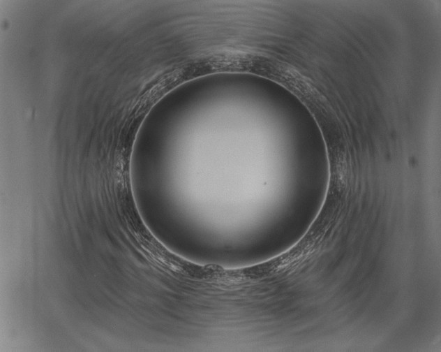 X0000065970964200603061145